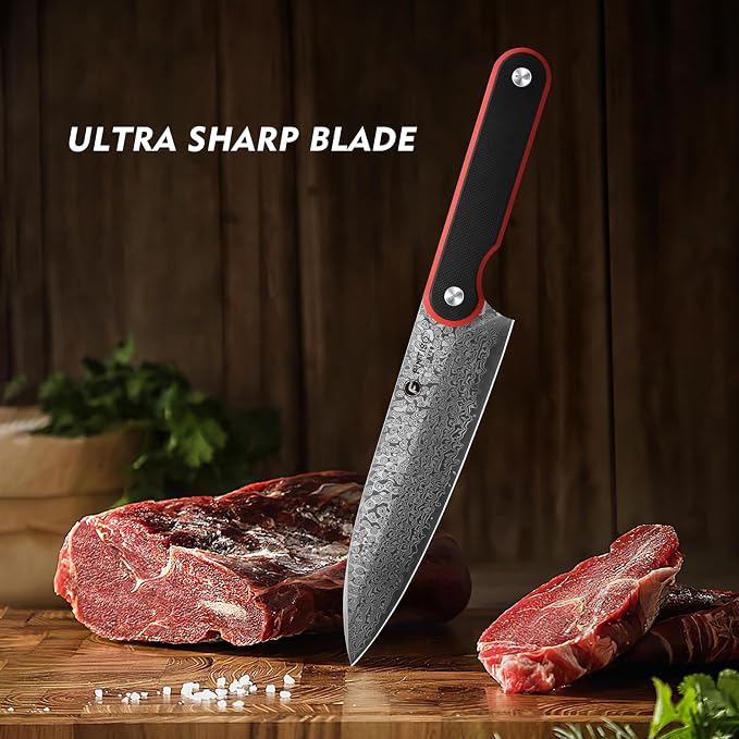 8" Chef Knife, 67-Layer Damascus Stainless Steel Kitchen Knife, G10 Handle | 8 Inch Damascus Knife with 10Cr15CoMoV Steel Core, Ultra-Sharp Cooking Knife with Ergonomic Full-Tang G10 Handle