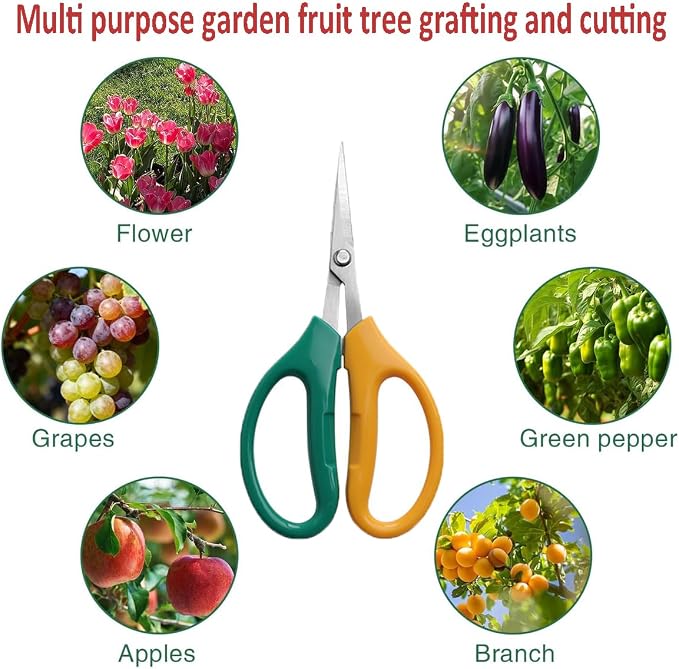 Garden Scissors, Stainless Steel Garden Bonsai Pruning Shears, Anti-Slip Softgrip SnipGardening Tools Garden Shears for Plants Herb (Classic)