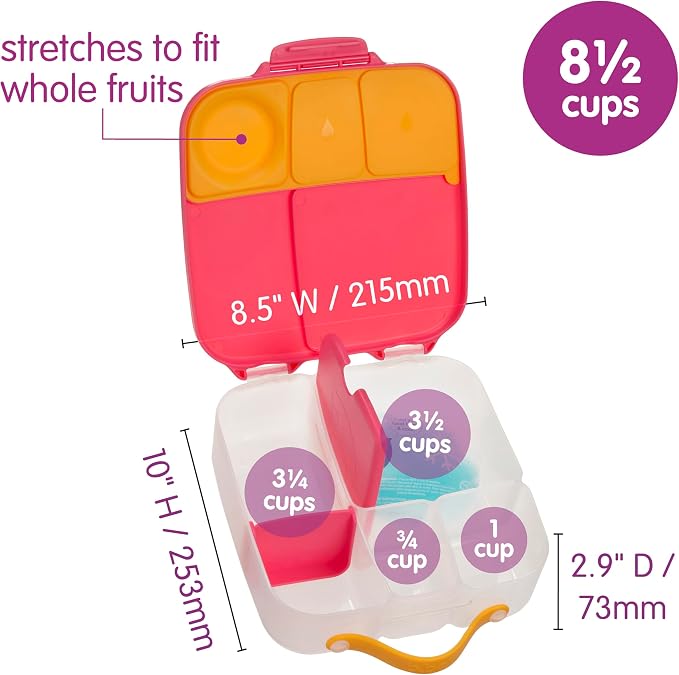 b.box Lunch Box, 8.5 Cup Bento Box for All Ages, Snack Box Food Containers | Lunch Box Kids + Adults, Lunch Containers, 4 Compartments, Leak Proof, Dishwasher Safe, BPA Free, PFAS Free—Strawberry Shake