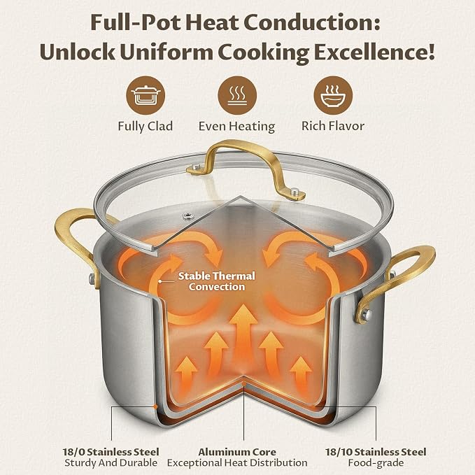BEZIA 6 QT Stock Pot with Lid, Full Clad 3-Ply Stainless Steel Cooking Pot | Uncoated & Built to Last Induction Pot, for All Stovetops, for Daily Soups & Curries, Blanching & Boiling, Pasta & Dumplings