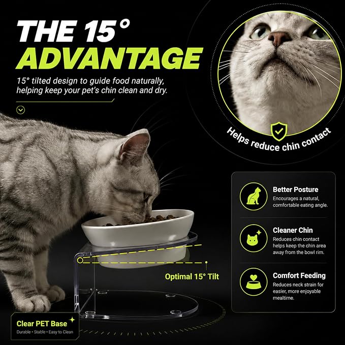 Elevated Cat Bowls, Tilted Melamine, White, 2 Pack | Two tilted melamine bowls support comfortable feeding for cats, kittens, flat-faced pets, and small dogs; white finish.