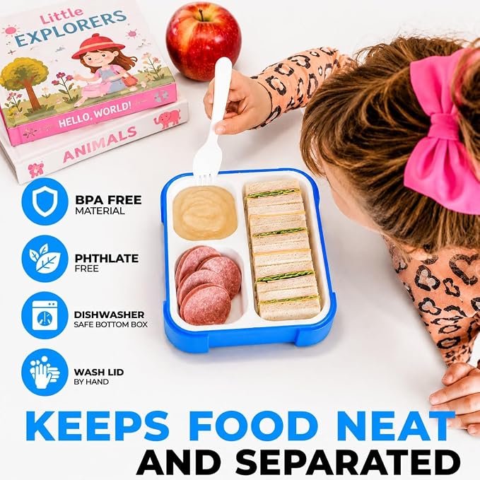 kinsho Bento Box for Kids, Toddler Lunch Boxes for Small Boys Girls in School Daycare, Leak Proof 3 Compartment Containers for Portion Control Snacks for Adults, BPA Free. Medium Blue Pink 2 Pack