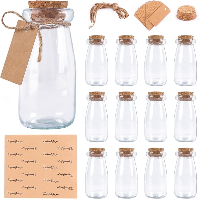 12pcs 3.4oz Small Glass Jars with Lids Potion Bottles for Wedding Favors | Versatile Small Glass Jars with Corks Twine Tags & Stickers, Mini Jars Set for DIY Crafts Birthday Wedding Gifts Party Favors