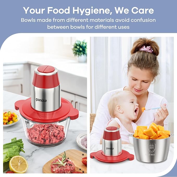 Ganiza Food Processors with 2 Bowls, 450W Meat Grinder Vegetable Chopper | 2-Speed Electric Food Chopper with 8 Cup Glass & 8 Cup Stainless Steel Bowls -Includes 2 Sets of Blades for Fruits/Meat/Nuts
