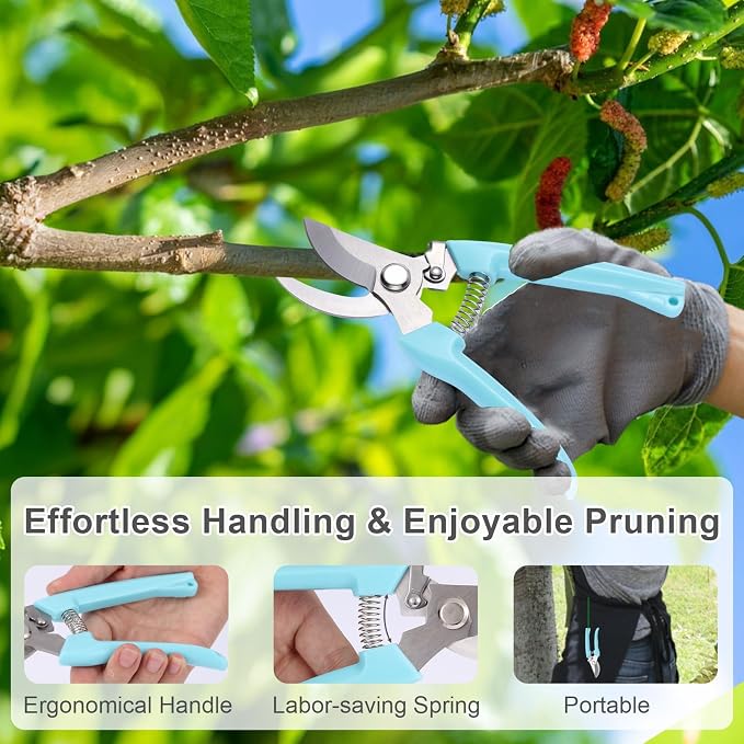 2 Pack Pruning Shears, Stainless Steel Sharp Blade, for Home Gardeners | Safety Lock，Ergonomic Handle, Easy Use for Seniors , Perfect for Herbs, Flowers, Bonsai, Indoor Plants