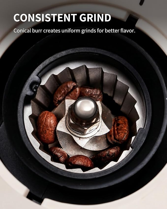 KIDISLE Conical Burr Coffee Grinder 2.0, Electric Coffee Bean Grinder for Precise Grinding, 35 Settings, 2–12 Cup Selector, Anti-Static Design for Home Use, Beige