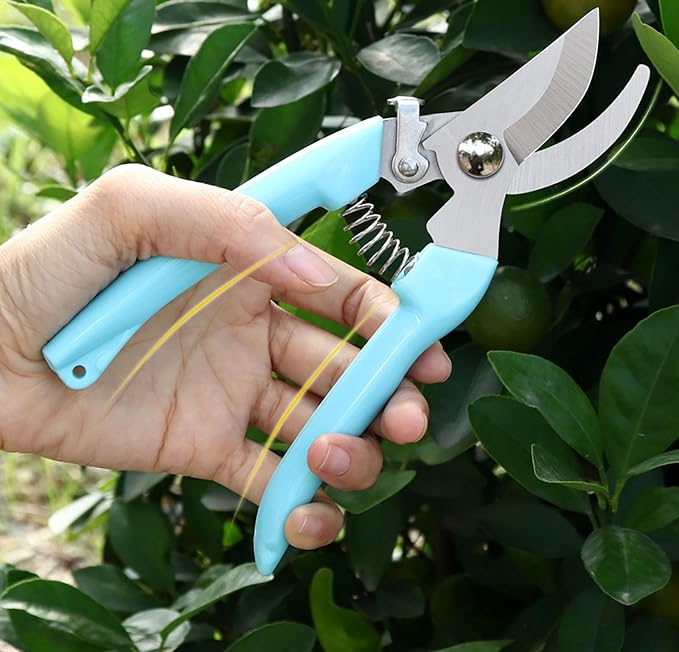 2pcs Garden Flower Shears Pruning Shears 6.9 inches Scissors Heavy Duty Plant Scissors for Cutting Flowers, Trimming Plants, Bonsai, Fruits Picking (Blue Handle 2pcs)