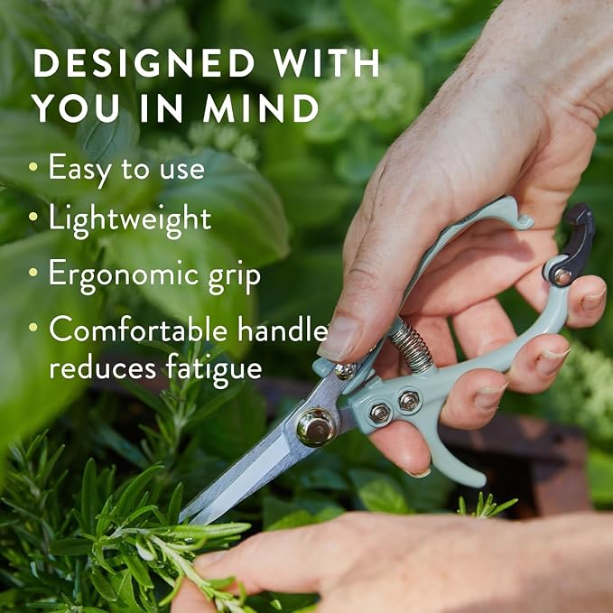 Modern Sprout Pruning Shears - Garden Snips - Herb Scissors - Multi 4-Pack | Lightweight Gardening Tool - Durable Carbon Steel Blade W/Easy-Lock - Gardening Supplies - Flower Cutter - Reusable Holster