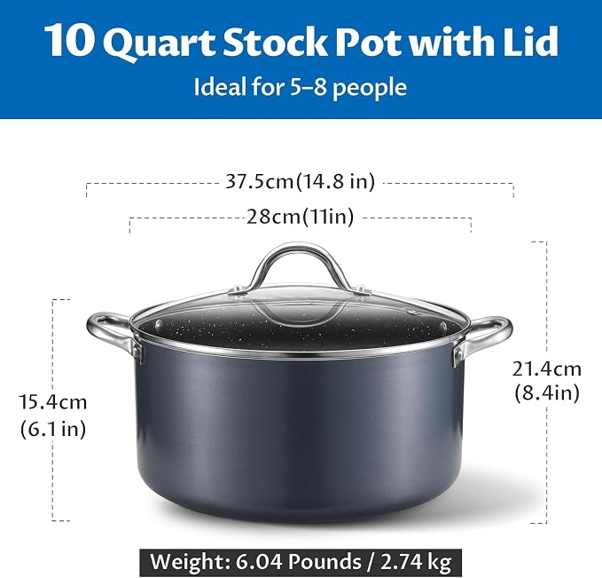 BEZIA 10 Quart Nonstick Stock Pot with Lid, Large Induction Cooking Pot | Soup Pot for Holiday Hosting & Meal Prep, All Stove Compatible, Oven & Dishwasher Safe, for Nutrient-Rich Simmering & Stews