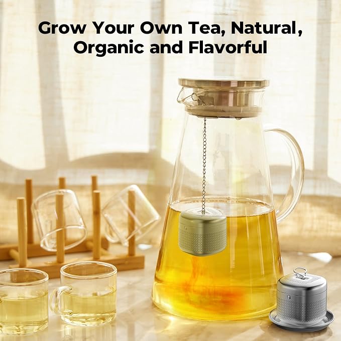 Reinmoson 304 Stainless Steel Tea Infuser for Loose Leaf Tea | Fine Mesh Tea Strainer Ball for Loose Leaf Tea, Come with 1 Saucer Loose Leaf Tea Steeper for Cup, Mug, Teapot