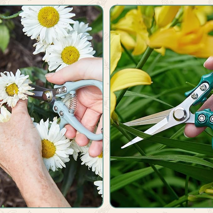 Modern Sprout Pruning Shears - Garden Snips - Herb Scissors - Ocean 1-Pack | Lightweight Gardening Tool - Durable Carbon Steel Blade W/Easy-Lock - Gardening Supplies - Flower Cutter - Reusable Holster