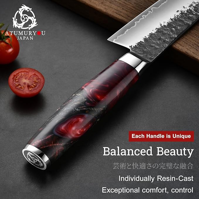 8.27 Inch Japanese Gyuto Chef Knife, Black Forged 3-Layer VG10 Steel Core | San-Mai High Carbon Stainless Steel, Kurouchi Forged Finish, For Home & Kitchen, Resin Wood Handle, Premium Gift Box