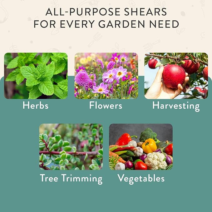 Modern Sprout Pruning Shears - Garden Snips - Herb Scissors - Ocean 1-Pack | Lightweight Gardening Tool - Durable Carbon Steel Blade W/Easy-Lock - Gardening Supplies - Flower Cutter - Reusable Holster