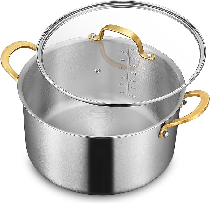 BEZIA 6 QT Stock Pot with Lid, Full Clad 3-Ply Stainless Steel Cooking Pot | Uncoated & Built to Last Induction Pot, for All Stovetops, for Daily Soups & Curries, Blanching & Boiling, Pasta & Dumplings