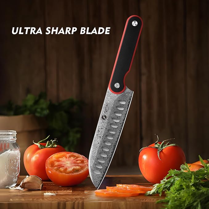 Santoku Knife 7 Inch, 67-Layer Damascus Steel Chef Knife with G10 Handle | Professional Damascus Kitchen Knife with 10Cr15CoMoV Steel Core, Japanese Knife with Ergonomic Full-Tang Handle