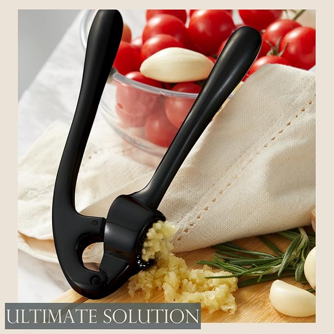 Premium Garlic Press, Professional Garlic Mincer, Easy to Squeeze and Clean, Rust Proof, Efficient Ginger Crusher - Black