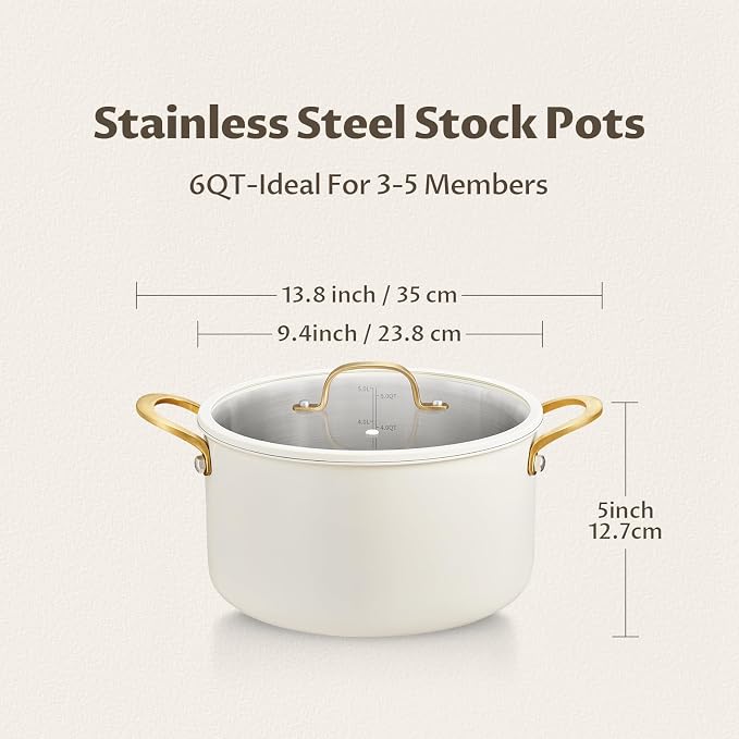 BEZIA 6 Quart Full Clad Try-Ply Stainless Steel Stock Pot, Induction Ready | Uncoated Cooking Pot with Silent, Tight-Seal Silicone-Rimmed Lid, for Daily Soups, Pasta & Quick Weeknight One-Pot Meals