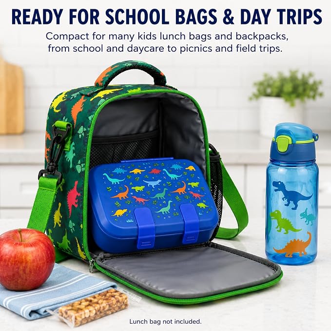 MISS BIG Kids Bento Lunch Box, Blue Dinosaur, Microwave Safe, 800ml | Boys lunch box with 3 sections for school meals, daycare, preschool, kindergarten, and microwave-safe reheating