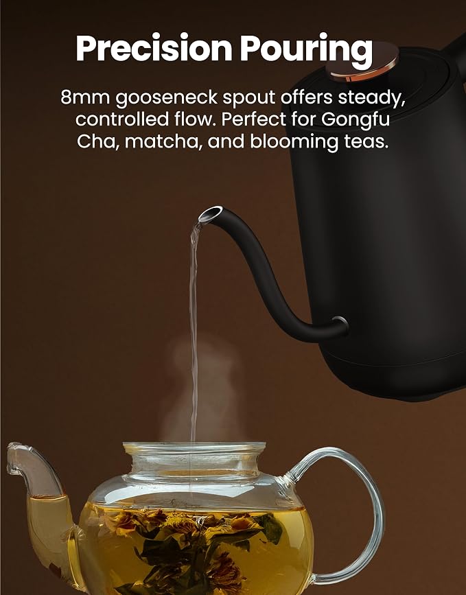 Viante Electric Gooseneck Kettle 0.8L, Pour Over Coffee & Tea, Temp Control | Boil-dry protection, keep-warm function, BPA-free stainless steel body. Includes #2 coffee filters