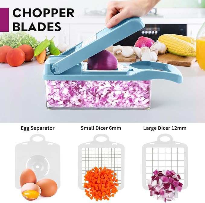 MAIPOR Vegetable Chopper Pro, Multifunctional 13 in 1 Food Chopper, Kitchen Vegetable Slicer Dicer Cutter With 8 Blades for Onion Carrot and Garlic With Container (Blue)