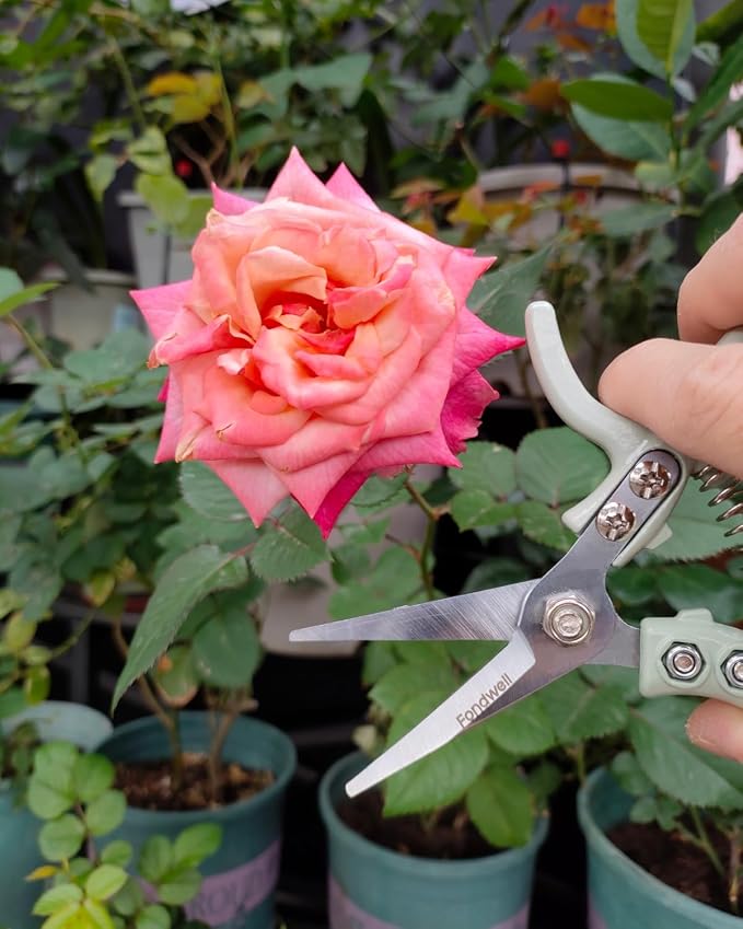 Fondwell 6" Small Pruning Shears Garden Scissors for Indoor Plants Trimming | 1-Pack Garden Snips, Ultra-Sharp Micro-Tip Straight Blades, Fatigue-Free - Best for Delicate Cutting Flower Stems Herbs Buds