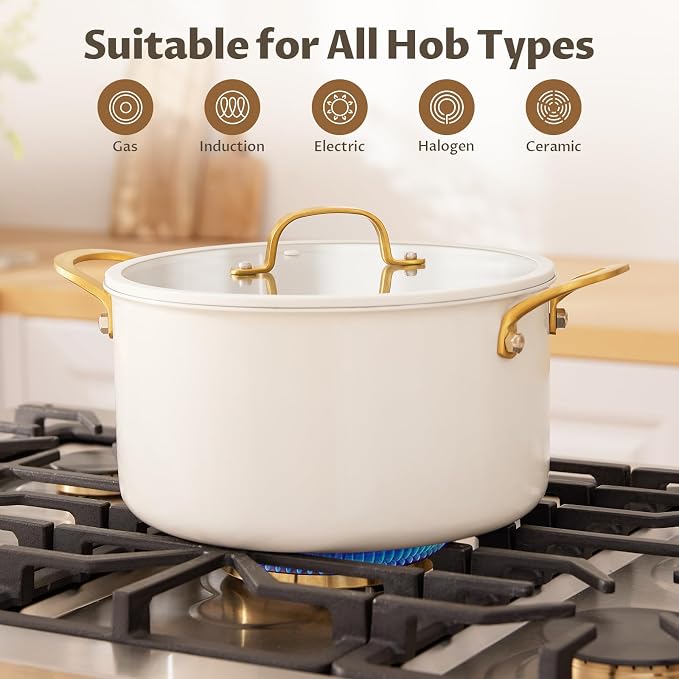 BEZIA 6 Quart Full Clad Try-Ply Stainless Steel Stock Pot, Induction Ready | Uncoated Cooking Pot with Silent, Tight-Seal Silicone-Rimmed Lid, for Daily Soups, Pasta & Quick Weeknight One-Pot Meals
