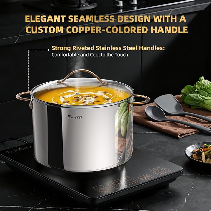 Ciwete 12 Quart Stock Pot with Lid, Upgraded Tri-Ply Stainless Steel Pot, Seamless Large Cooking Pot with Stay-Cool Brass Handle, Healthy Polished Stockpots, Induction Cookware, Oven & Dishwasher Safe