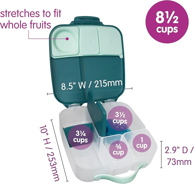 b.box Lunch Box, 8.5 Cup Bento Box for All Ages, Snack Box, Food Containers | Lunch Box Kids + Adults, Lunch Containers, 4 Compartments, Leak Proof, Dishwasher Safe, BPA Free, PFAS Free — Emerald Forest