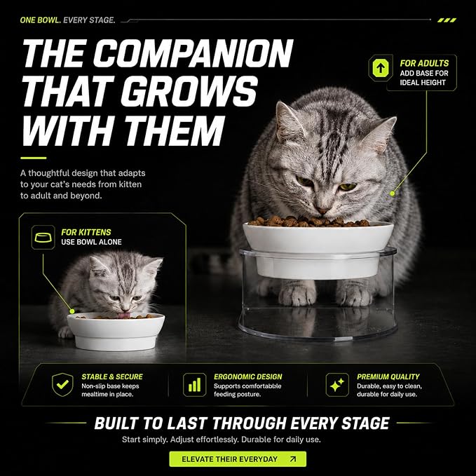 Elevated Cat Bowls, Tilted Melamine, White, 2 Pack | Two tilted melamine bowls support comfortable feeding for cats, kittens, flat-faced pets, and small dogs; white finish.
