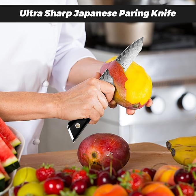 SHAN ZU Damascus Paring Knife,Fruit Knife 4 Inch | Professional Kitchen Knives, Japanese Damascus High Carbon Steel 67-Layer Fruit Carving Knives with G10 Handle/Gift Box