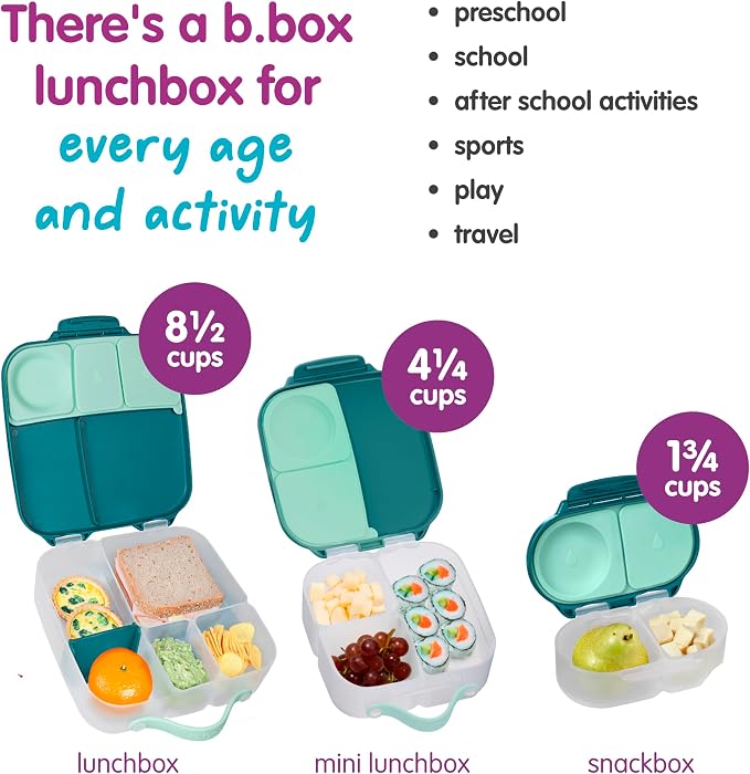 b.box Lunch Box, 8.5 Cup Bento Box for All Ages, Snack Box, Food Containers | Lunch Box Kids + Adults, Lunch Containers, 4 Compartments, Leak Proof, Dishwasher Safe, BPA Free, PFAS Free — Emerald Forest