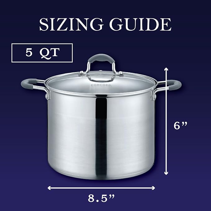 CONCORD Stainless Steel Stock Pot with Glass Lid (Induction Compatible) ((5 QT)