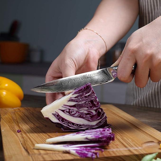 PAUDIN Utility Knife, 5 Inch Damascus Chef Knife | Damascus VG10 Steel with Ergonomic Wood Handle, Ultra Sharp Blade for Meat, Fruit & Vegetables, Gift Box
