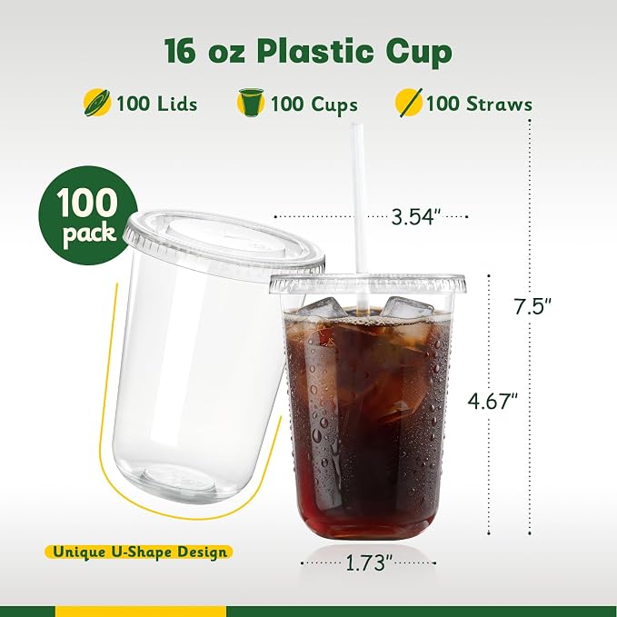 100 Pack 16 oz Round Bottom Plastic Cups with Lids and Straws, Disposable Coffee Cups with Lids, To Go Iced Coffee Cups with Lids, Disposable Cups for Party, Smoothie Cup for Cold Drinks