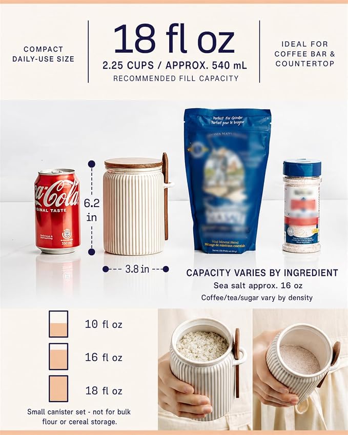 getstar Small Canisters Sets for the Kitchen, 18 oz Sugar Coffee Tea Storage Containers, Ceramic Kitchen Canisters for Countertop Set of 4 with Airtight Lids and Teaspoons