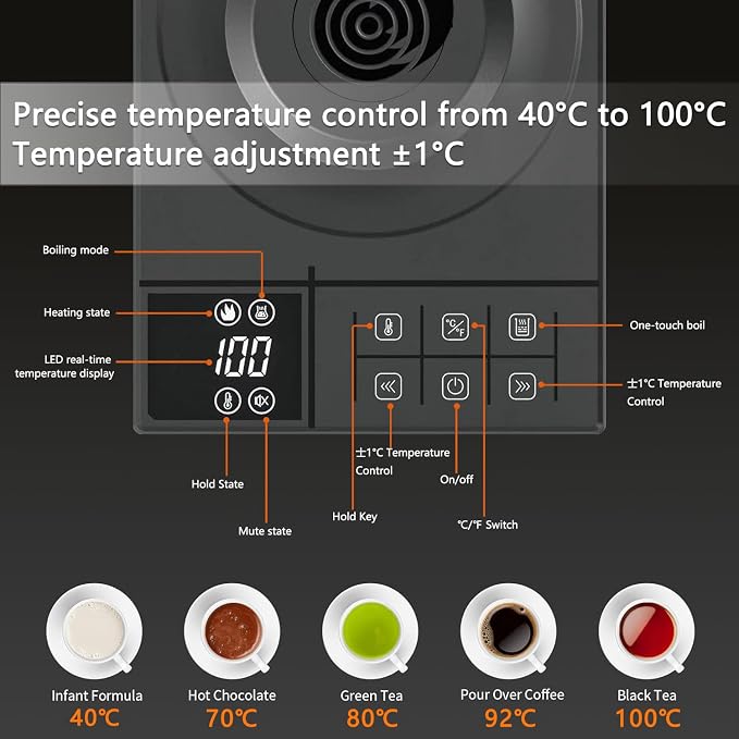 Gooseneck Electric Kettle with ±1℉ Temperature Control & Keep Warm for Pour Over Coffee & Tea, Rapid Boil, 304 Stainless Steel, Built-in Brew Timer, 900W 0.6L (600 ML)