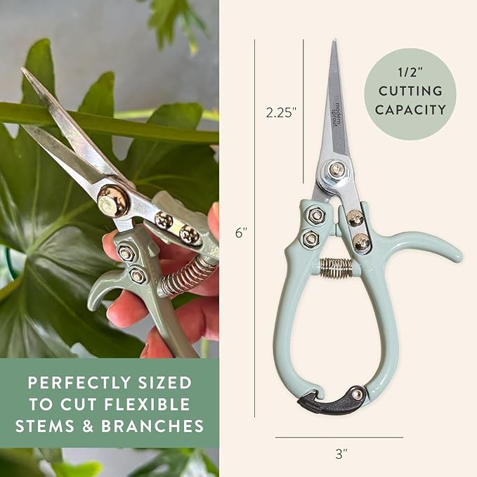 Modern Sprout Pruning Shears - Garden Snips - Herb Scissors - Multi 4-Pack | Lightweight Gardening Tool - Durable Carbon Steel Blade W/Easy-Lock - Gardening Supplies - Flower Cutter - Reusable Holster