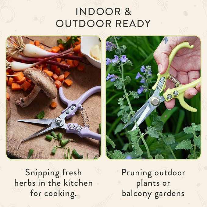 Modern Sprout Pruning Shears- Garden Snips-Herb Scissors- Chartreuse 1-Pack | Lightweight Gardening Tool - Durable Carbon Steel Blade W/Easy-Lock - Gardening Supplies - Flower Cutter - Reusable Holster