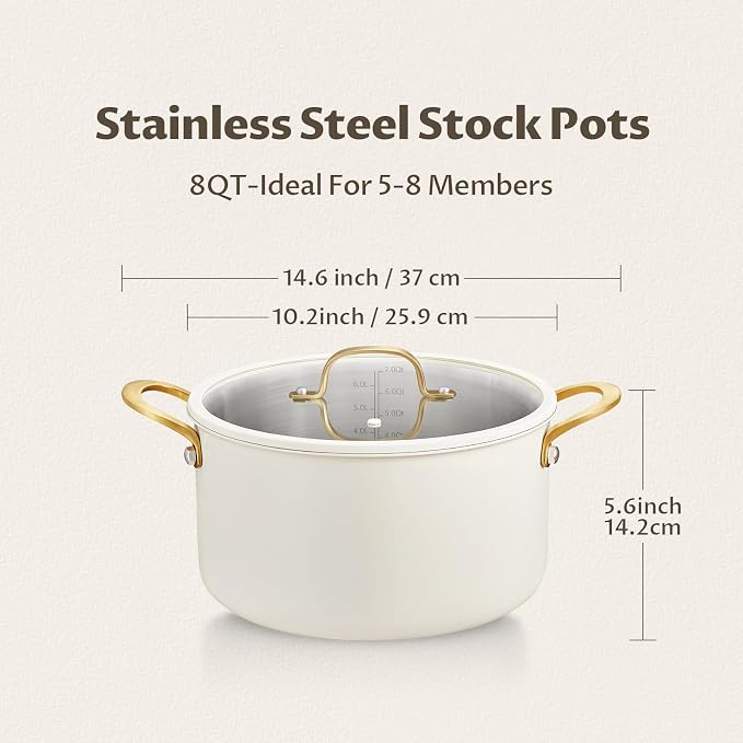 BEZIA 8 Quart Full Clad Try-Ply Stainless Steel Stock Pot, Induction Ready | Uncoated Cooking Pot for Family Meal Prep & Large Stews, with Silent, Tight-Seal Silicone-Rimmed Lid, Oven & Dishwasher Safe