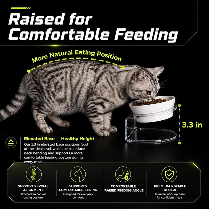 Elevated Cat Bowls, Tilted Melamine, White, 2 Pack | Two tilted melamine bowls support comfortable feeding for cats, kittens, flat-faced pets, and small dogs; white finish.