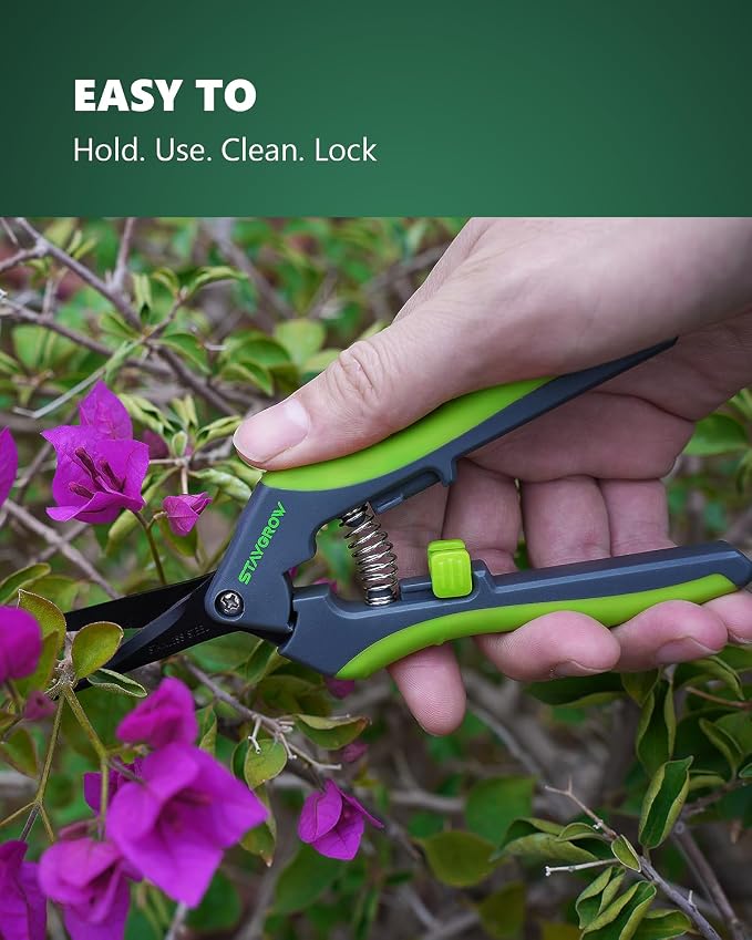 6.5" Pruning Shears for Gardening, Sharp Plant Trimming Scissors | Garden Snips for Precise Cuts,Stainless Steel Pruner Garden Scissors Bonsai Clippers(2-Pack Curved)