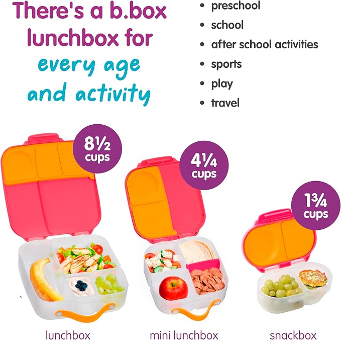 b.box Lunch Box, 8.5 Cup Bento Box for All Ages, Snack Box Food Containers | Lunch Box Kids + Adults, Lunch Containers, 4 Compartments, Leak Proof, Dishwasher Safe, BPA Free, PFAS Free—Strawberry Shake
