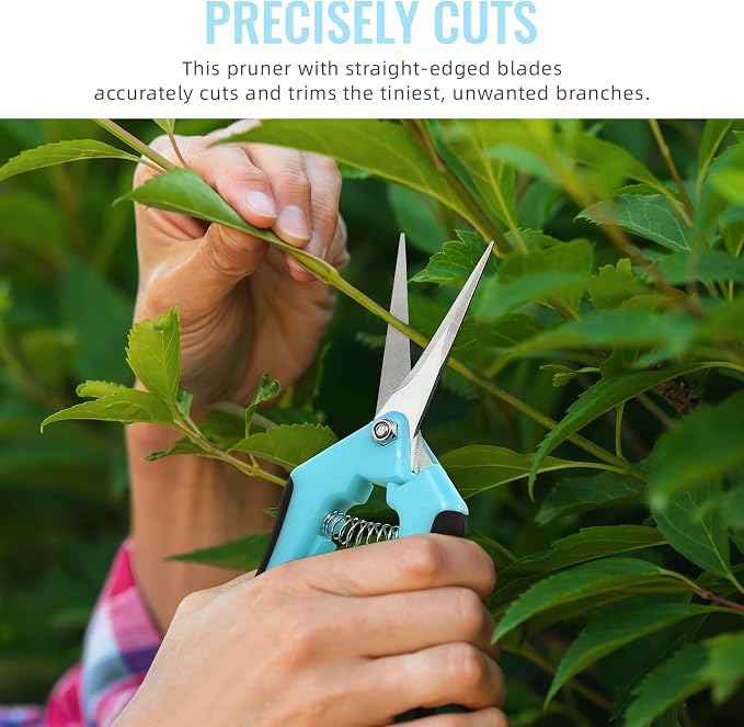4 Pack Pruning Shears 6.5 Inch Stainless Steel Garden Scissors | with Sharp Precision Blades, Comfortable Ergonomic Hand Snips for Deadheading, Flowers, Trimming Herbs, Shaping Small Plants