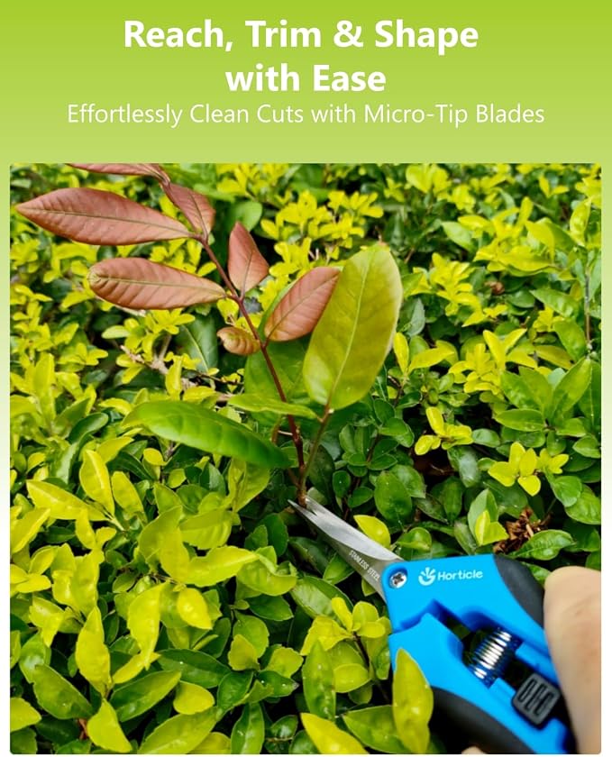 2-Pack 6.5" Garden Scissors Pruning Shears for Detailed Gardening | Ultra-Sharp Stainless Steel Precision Trimming Snips – Micro-Tip Straight & Curved Blades for Flowers & Delicate Plant Care