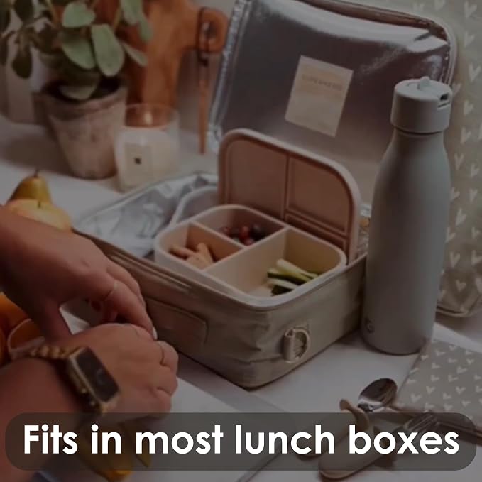 Ali+Oli Silicone Bento Box (Blue) Lunch Box for Kids, Toddlers, Preschoolers & Adults | BPA-Free and Spill-Proof | Ideal for School, and On-the-Go Meals| Perfect for Lunch, Snacks, and Meals | Daycare, Preschool, Food separation, Portion control, Snack...