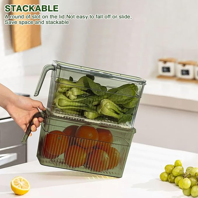 2Pack Stackable Food Storage Produce Saver Containers for Refrigerator, Berry Keeper Boxes for Fridge with Removable Drain Tray Keep Fresh for Vegetables/Fruit/Meat/Salad- 10.23'' x5.4'' x5.2''