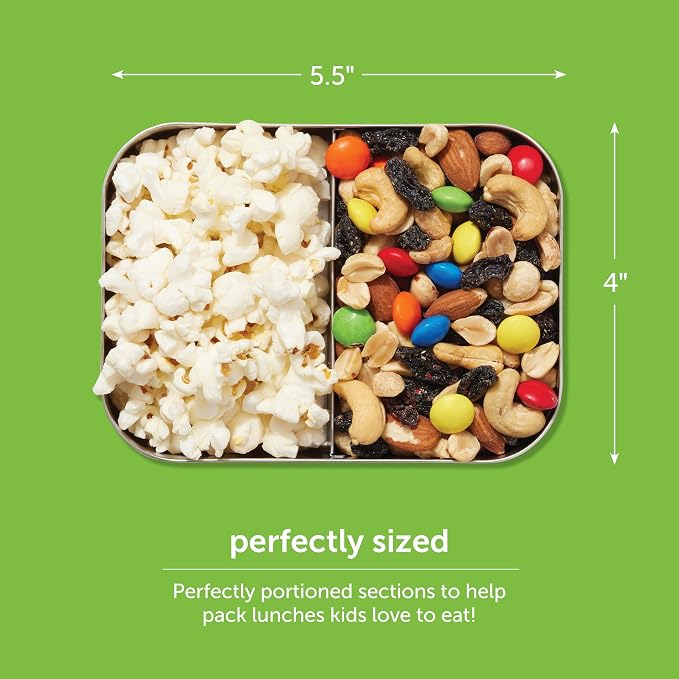 LunchBots Small Stainless Steel Kids Bento Box 2-Section 16oz