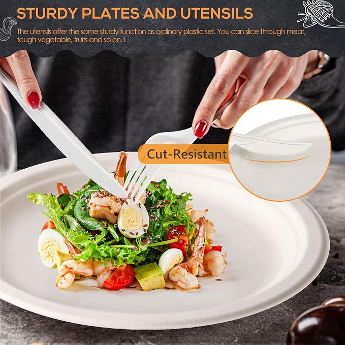 250Pcs Disposable Paper Plates Compostable Plates and Utensils | Eco Friendly Dinnerware Kit Includes 50 Biodegradable Plates, Forks, Knives and Spoons for Brithday Party Camping Picnic