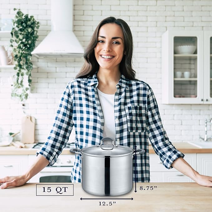 CONCORD Stainless Steel Stock Pot with Glass Lid (Induction Compatible) (15)