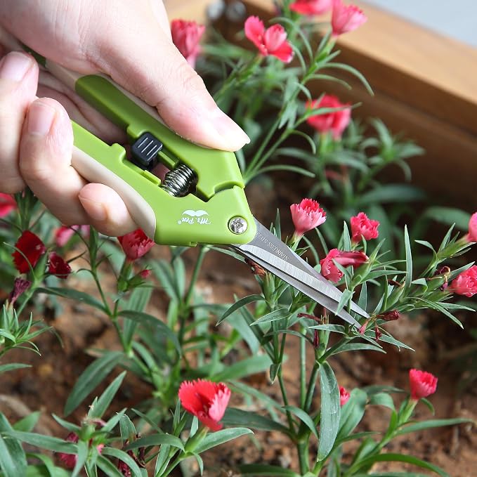 Mr. Pen- Gardening Scissors, 6.5 Inch, Green | Pruning Shears for Gardening with Straight Stainless Steel Blade, Plant Trimming Scissors, Garden shears, Garden Scissors